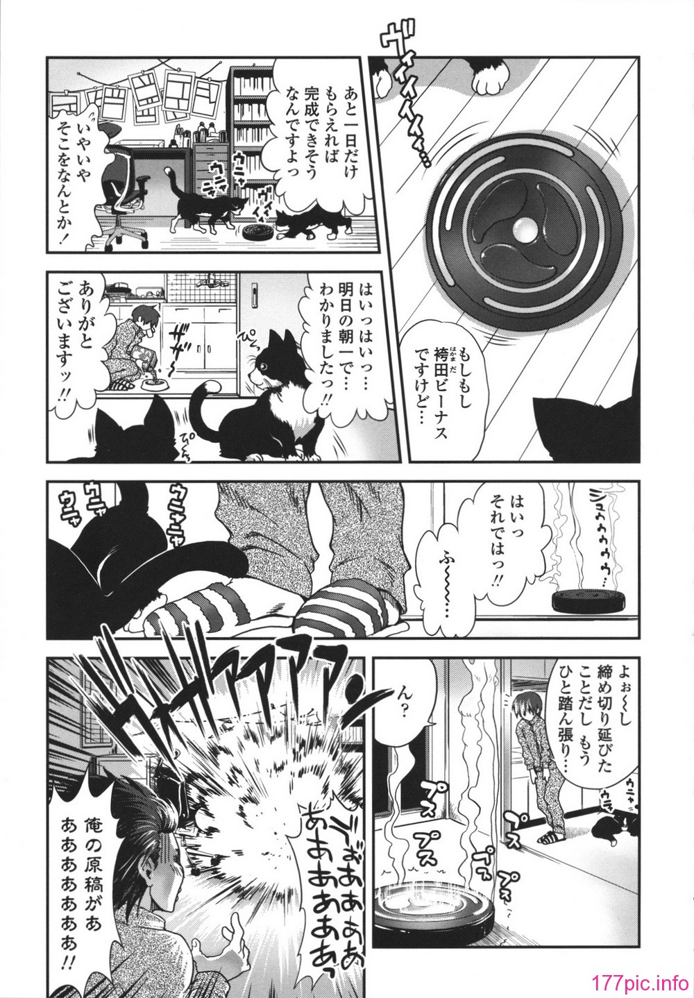 0061