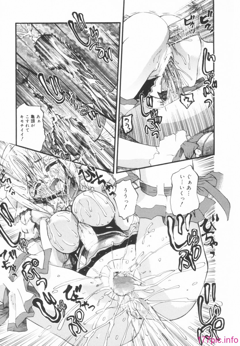 nikusen_B_015