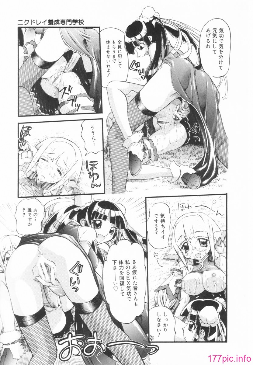 nikusen_B_017