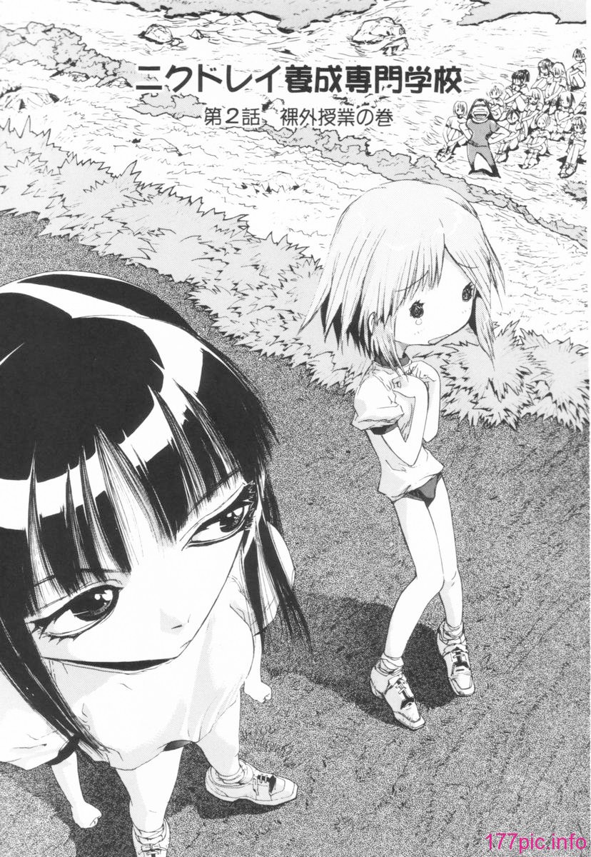 nikusen_B_019