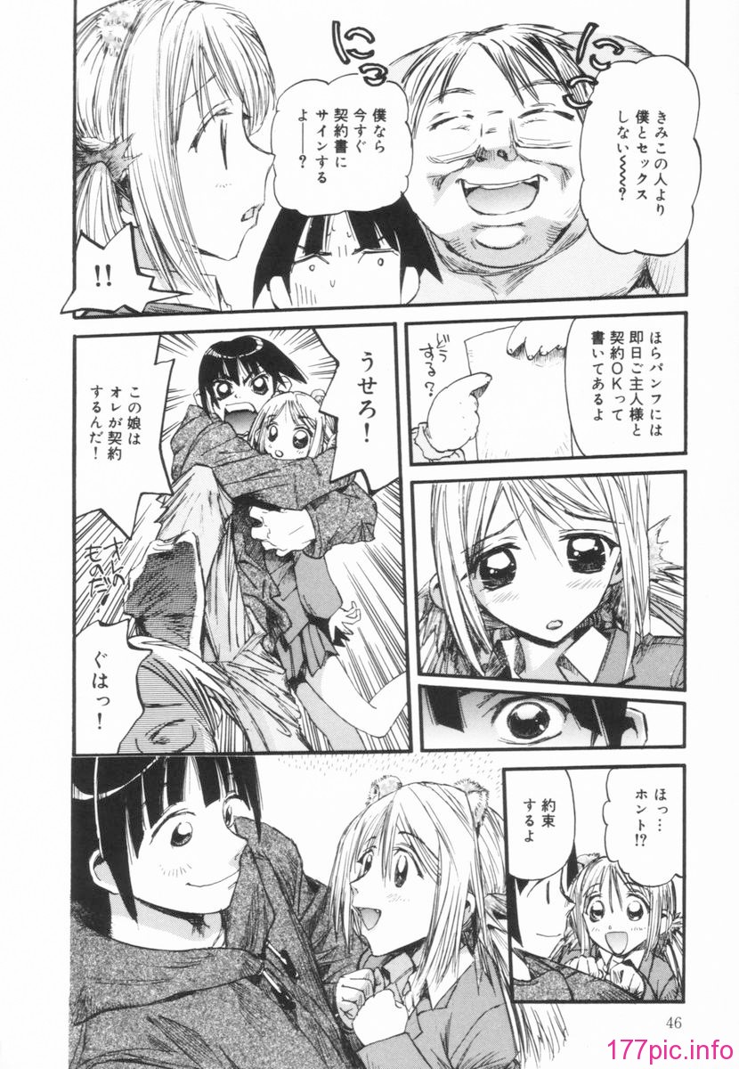 nikusen_B_046