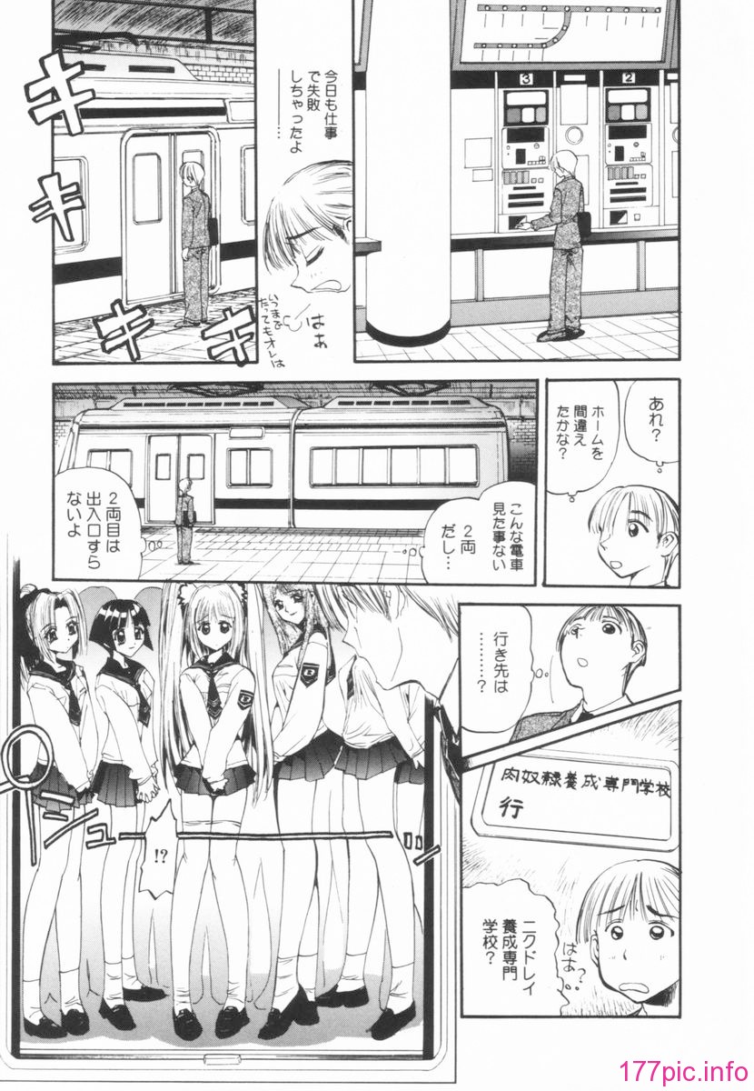 nikusen_B_051