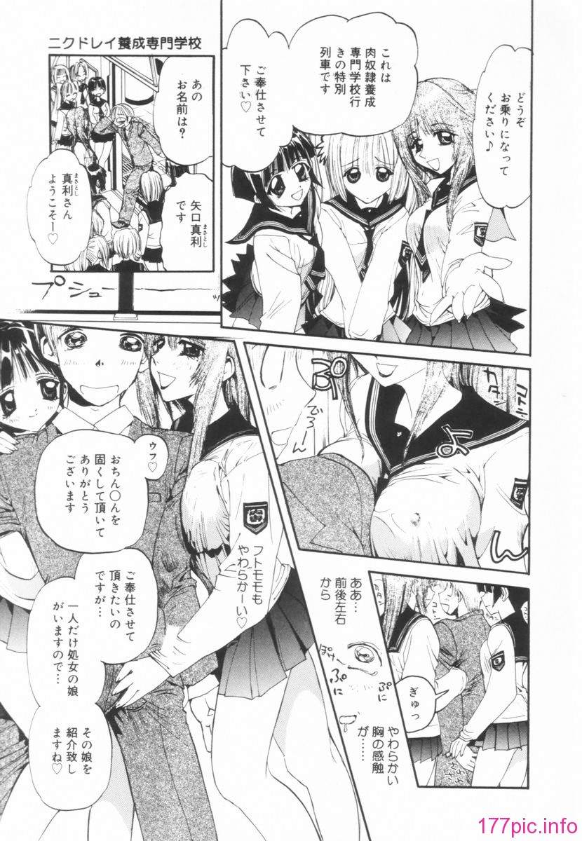 nikusen_B_053