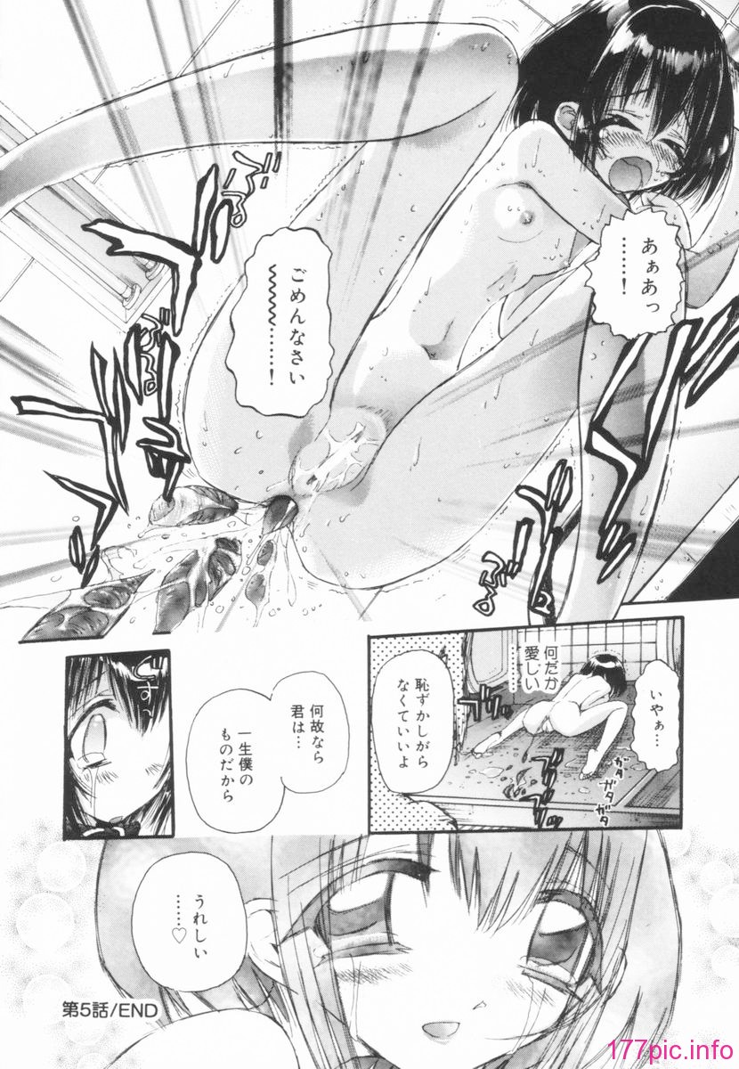 nikusen_B_082
