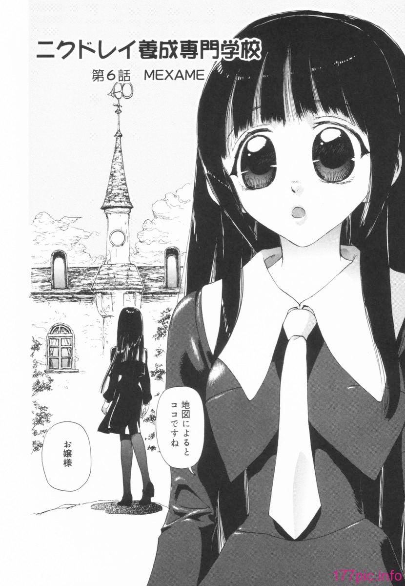 nikusen_B_084