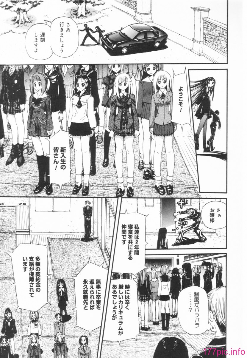 nikusen_B_085