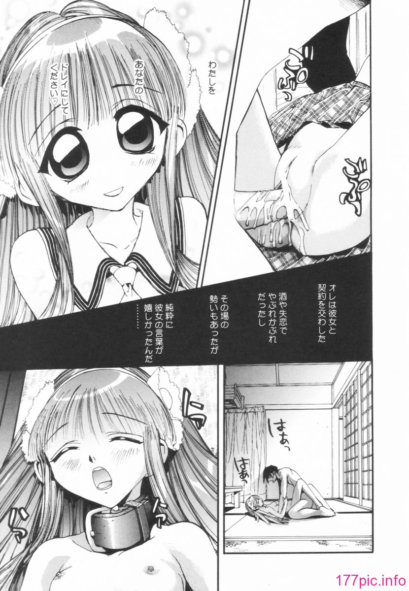 nikusen_B_113