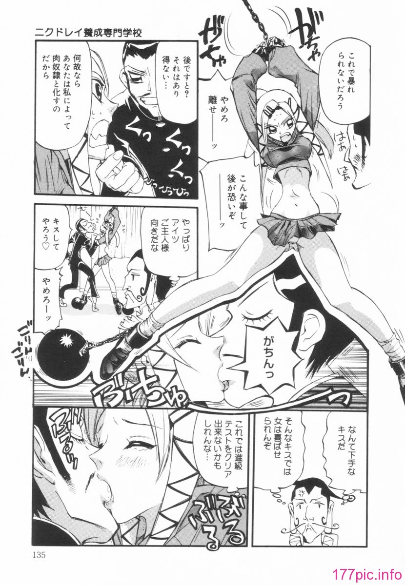 nikusen_B_135