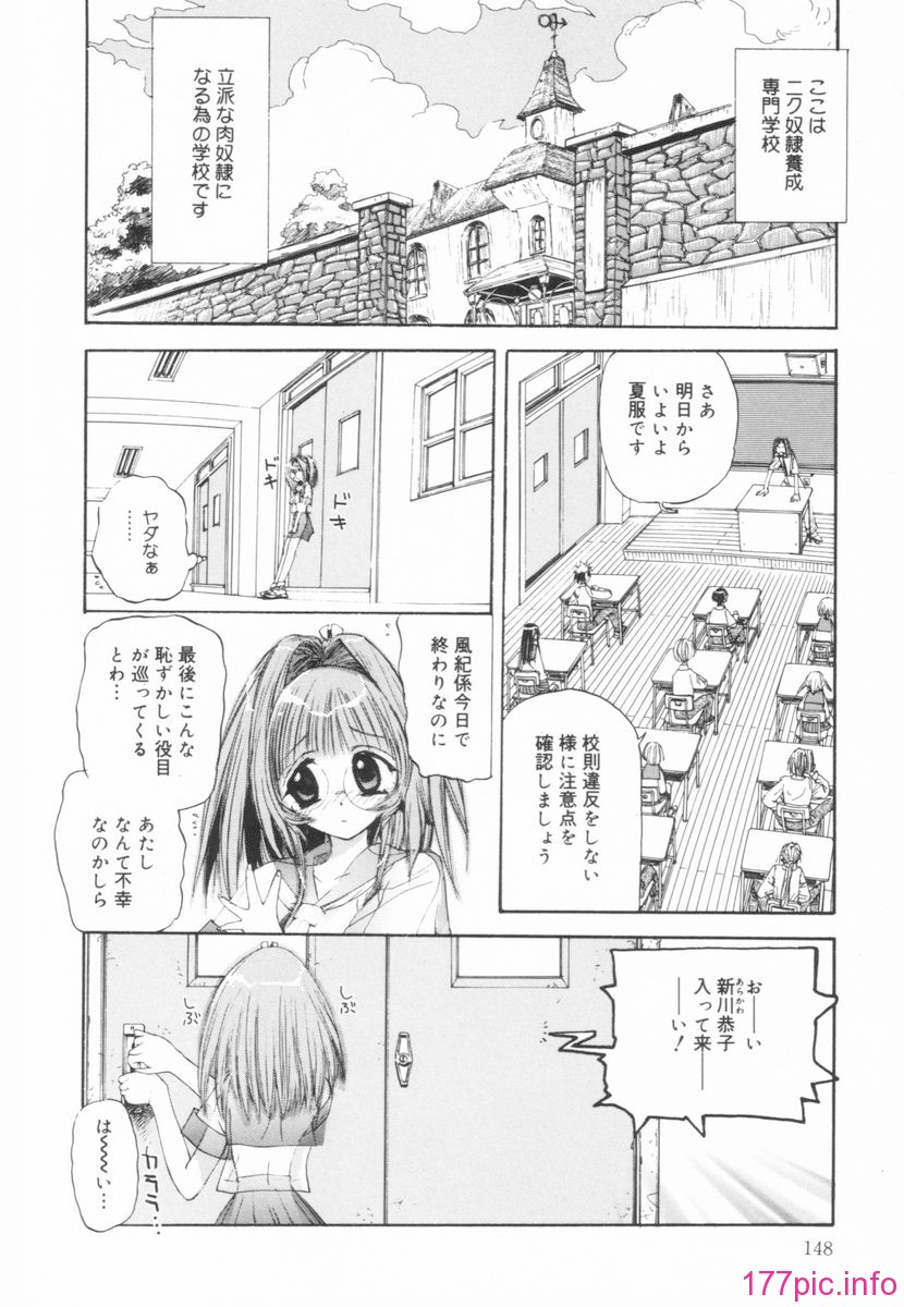 nikusen_B_148