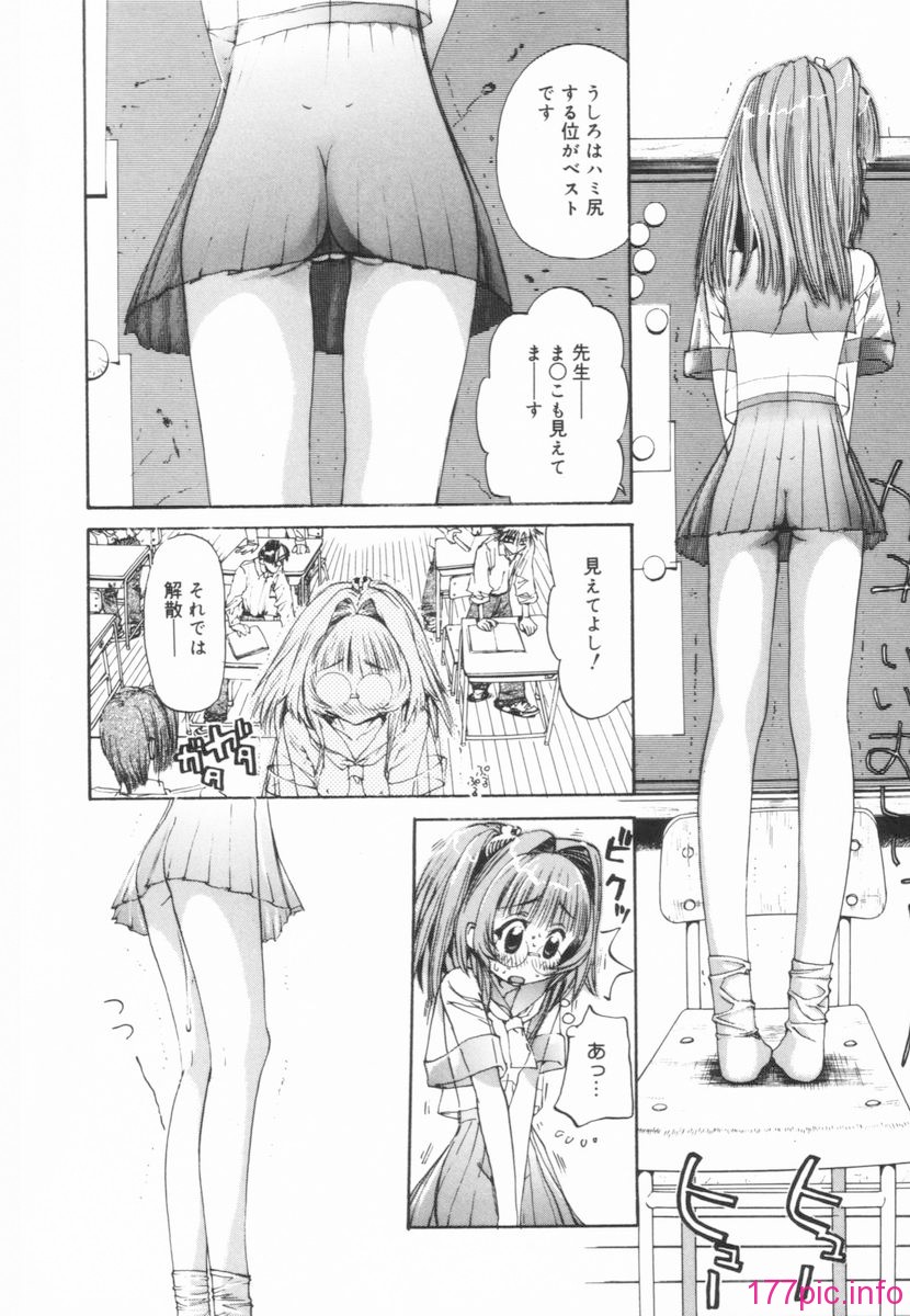 nikusen_B_150