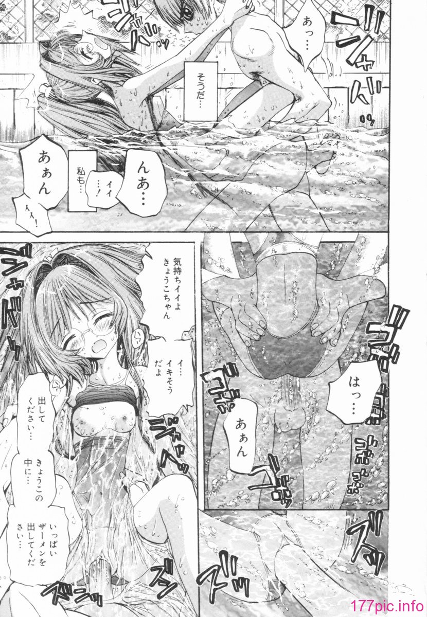 nikusen_B_157