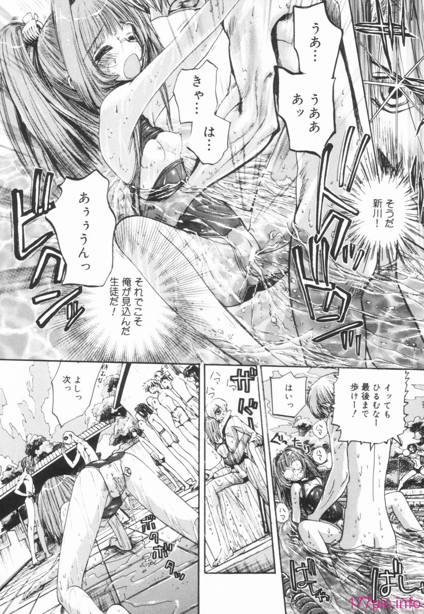 nikusen_B_158