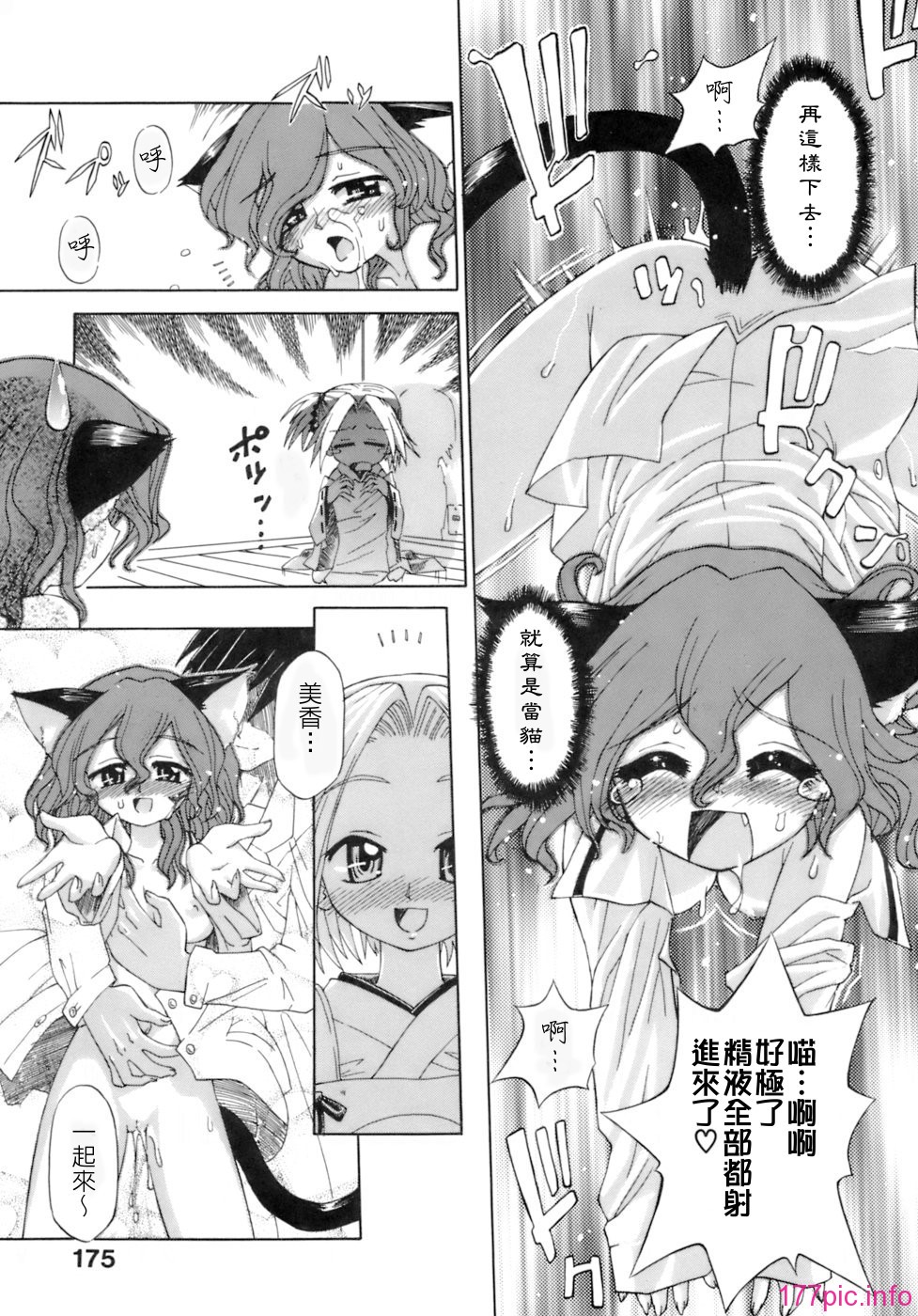 keito_169