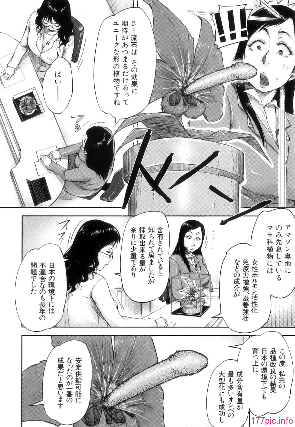Seishokuki_062