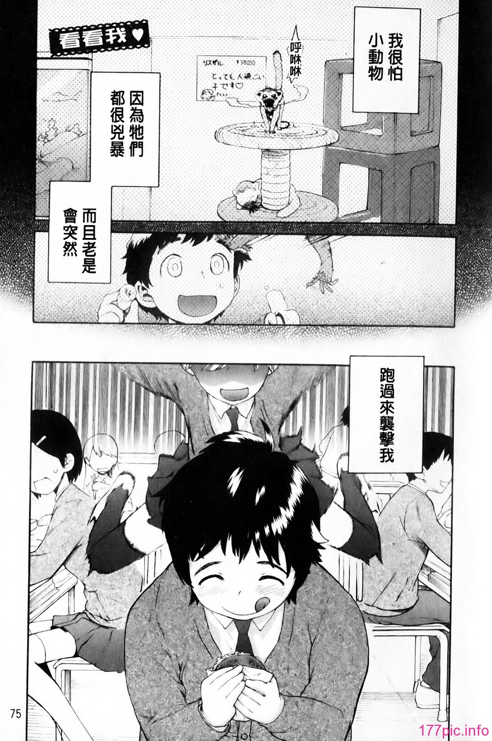 mmscan_008_075