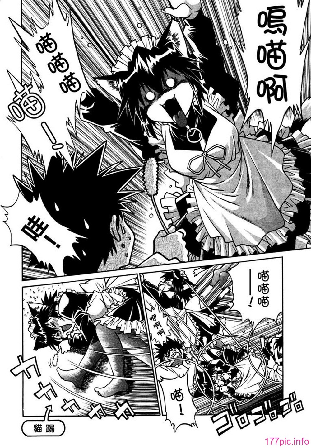 ogin 066