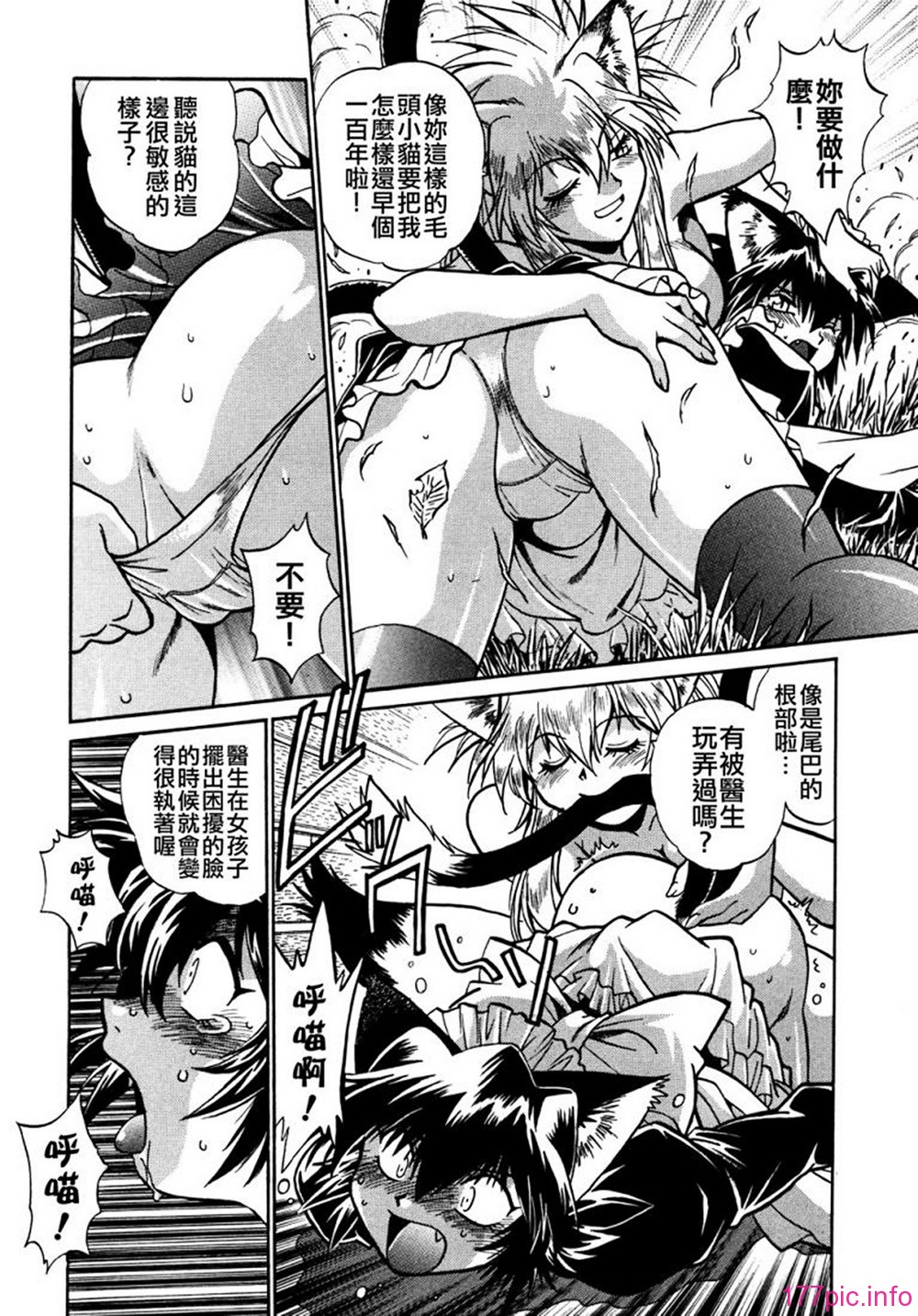ogin 114