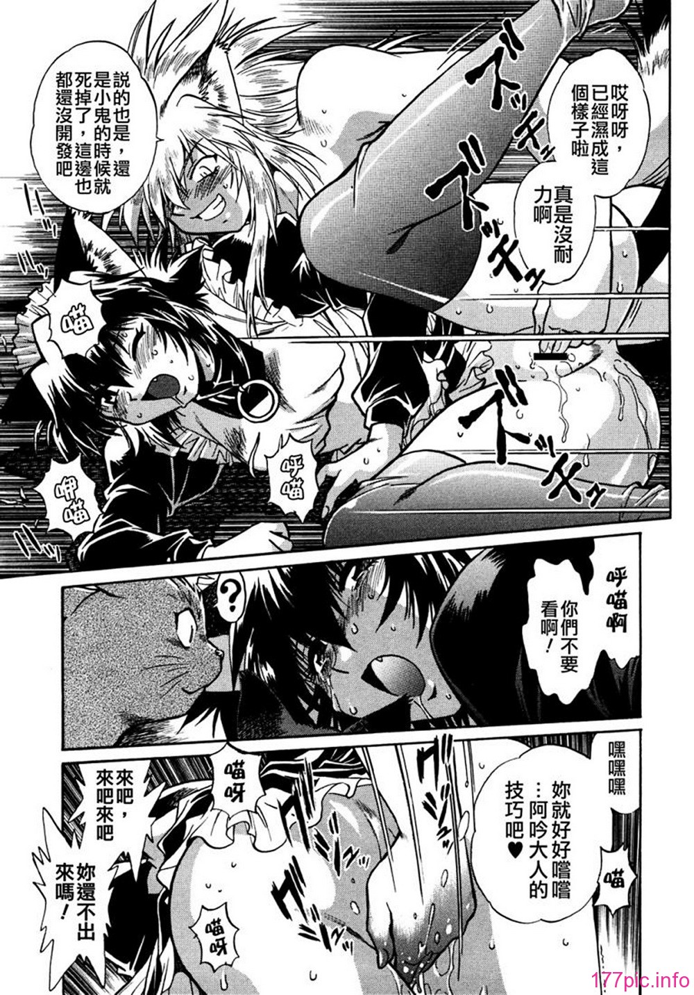 ogin 115