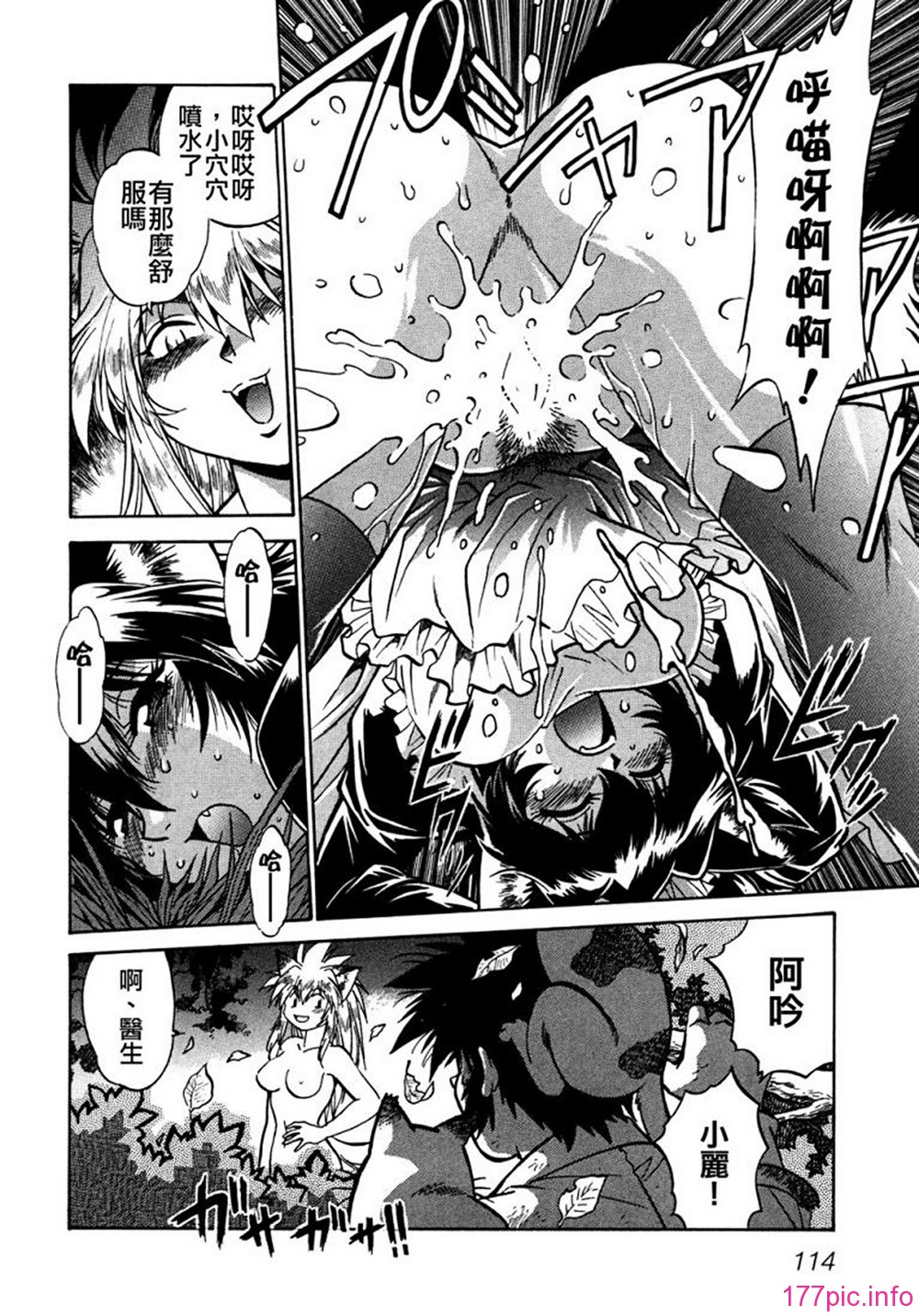 ogin 116