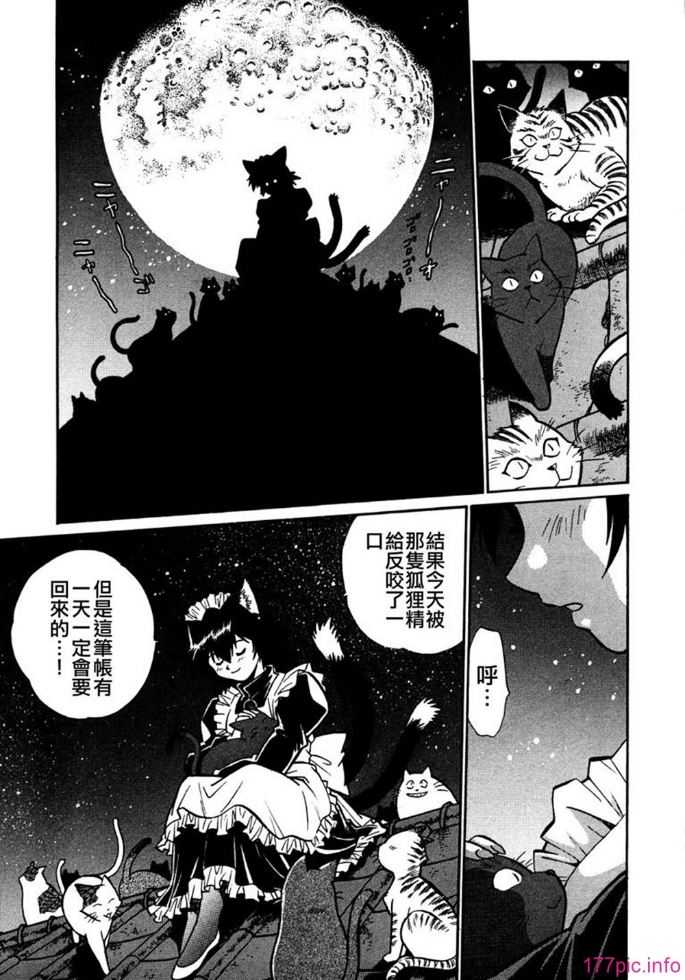 ogin 121