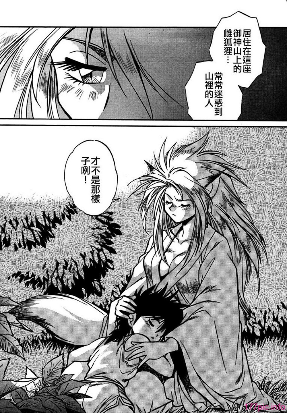 ogin 144