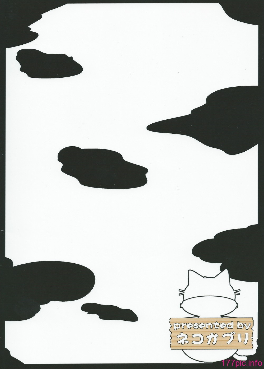 27_Back