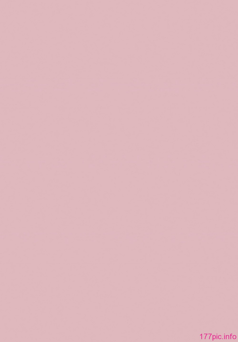 0205