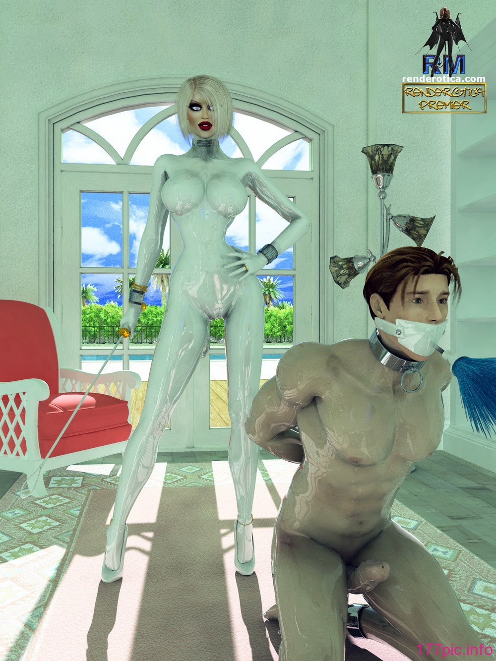 hubby_forced_to_do_housework-a_2_original