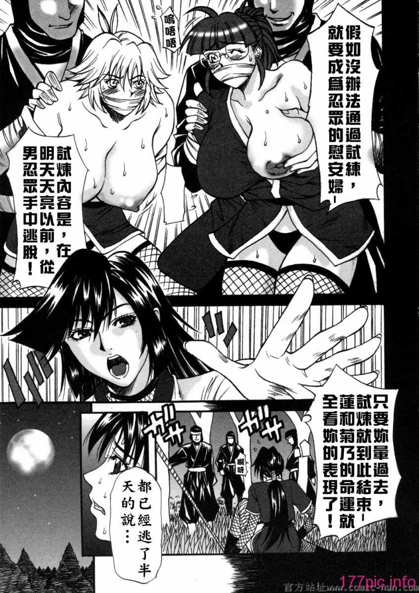 Free_036_079(1)