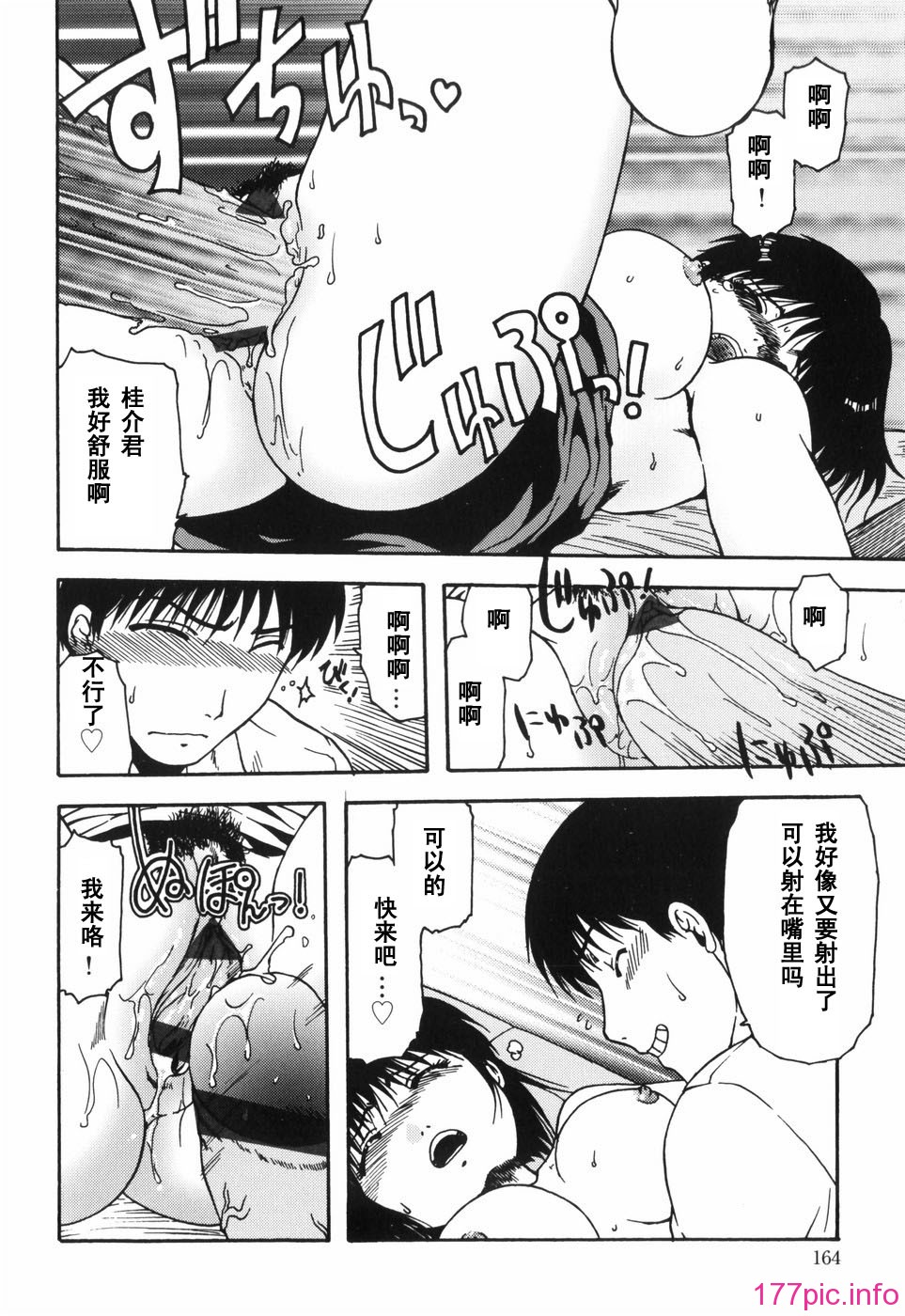 hazu_164