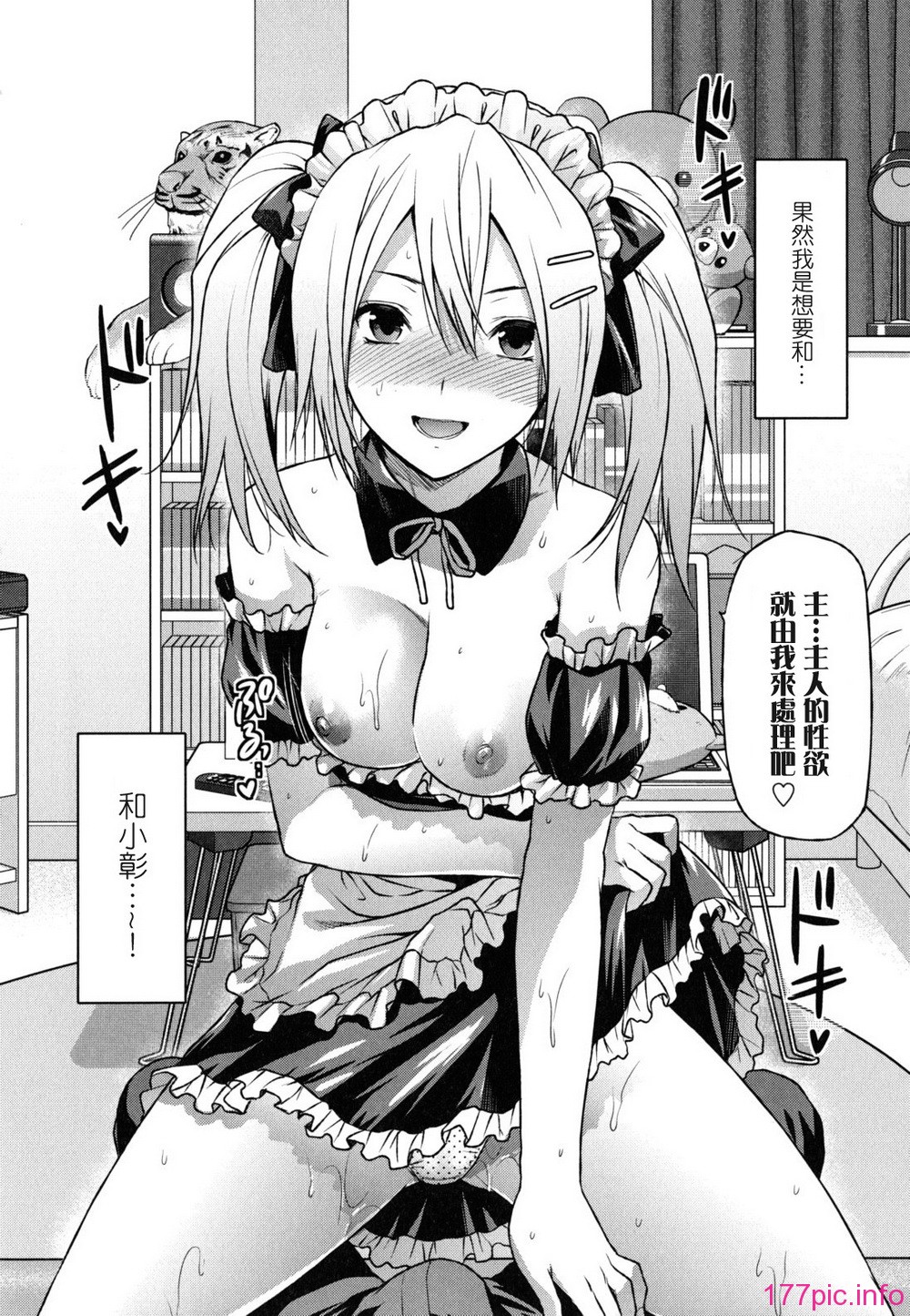 anekoi_0042