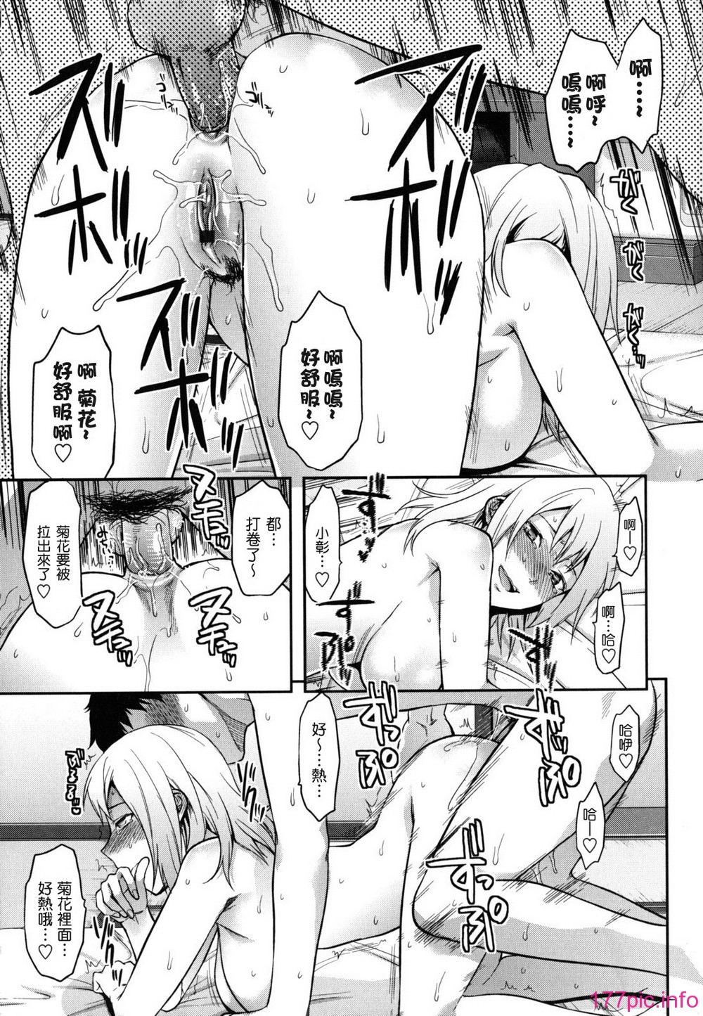 anekoi_0127