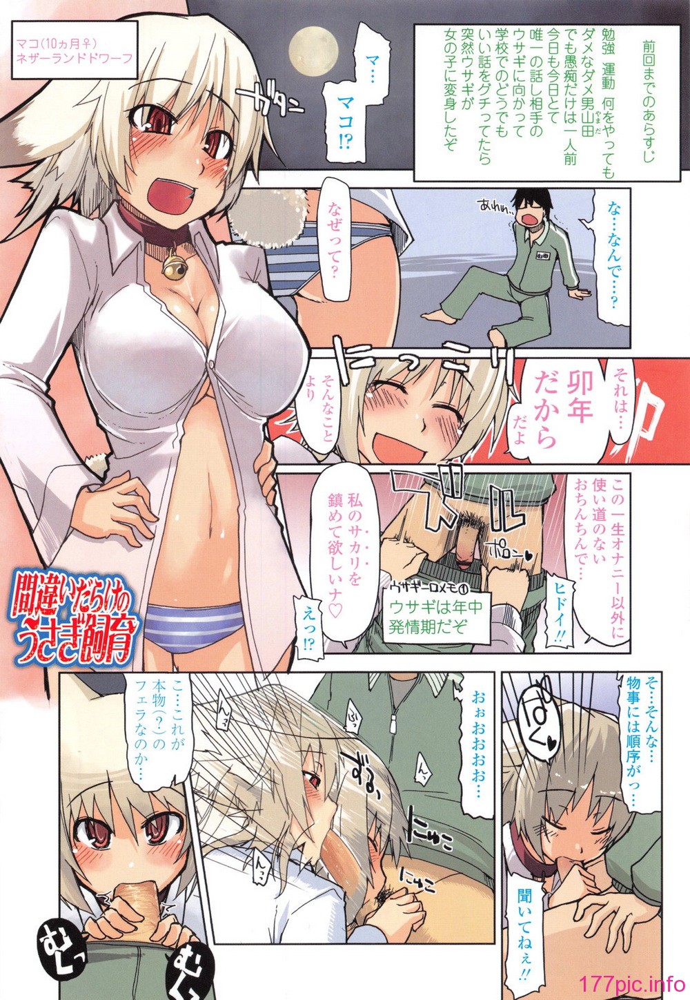 013
