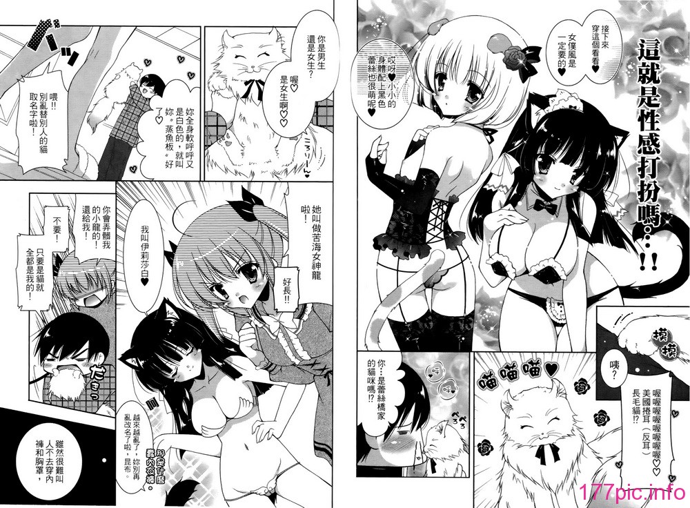 01-084