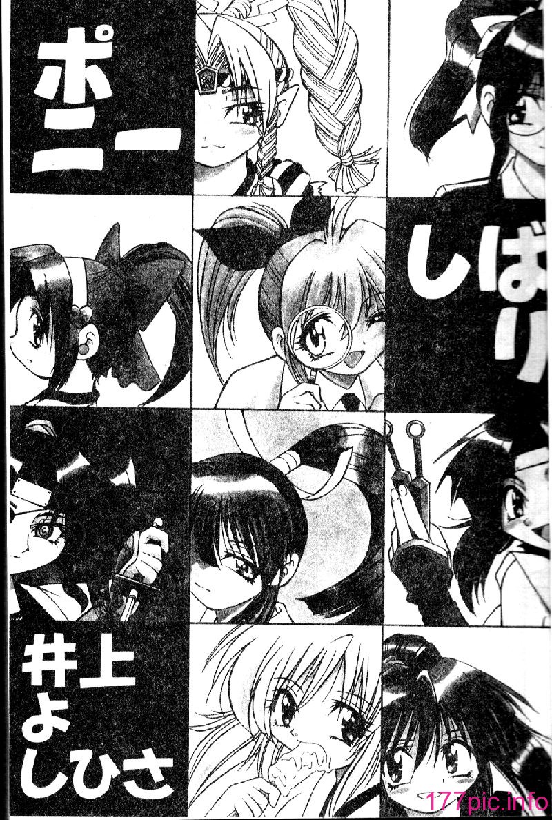 punisibari003