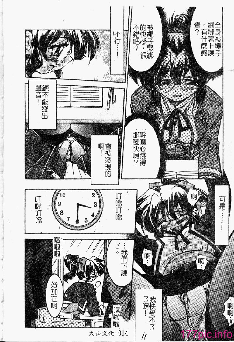punisibari016