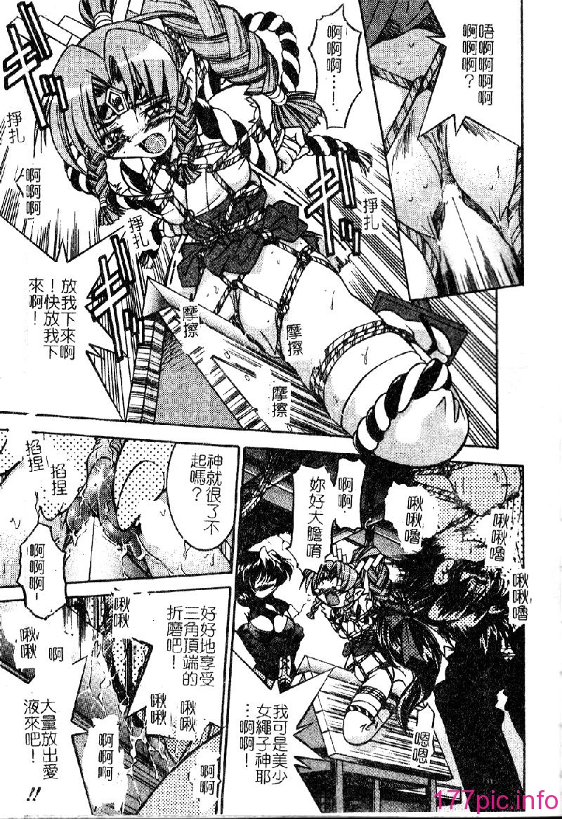 punisibari027