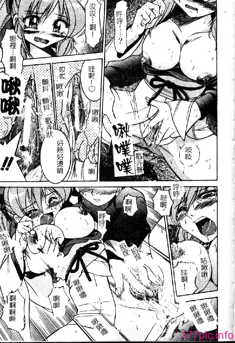 punisibari067