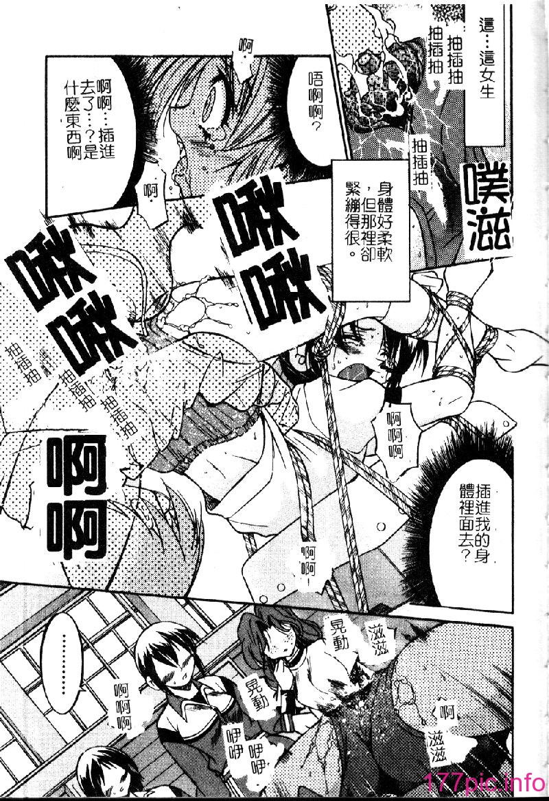 punisibari085