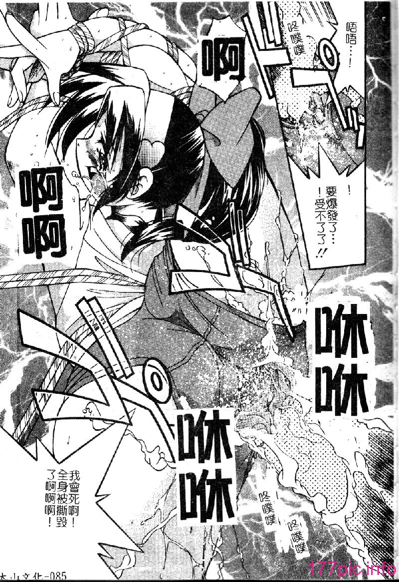 punisibari087