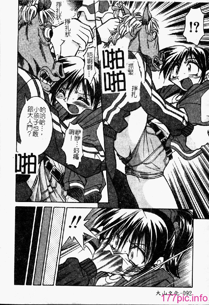 punisibari094