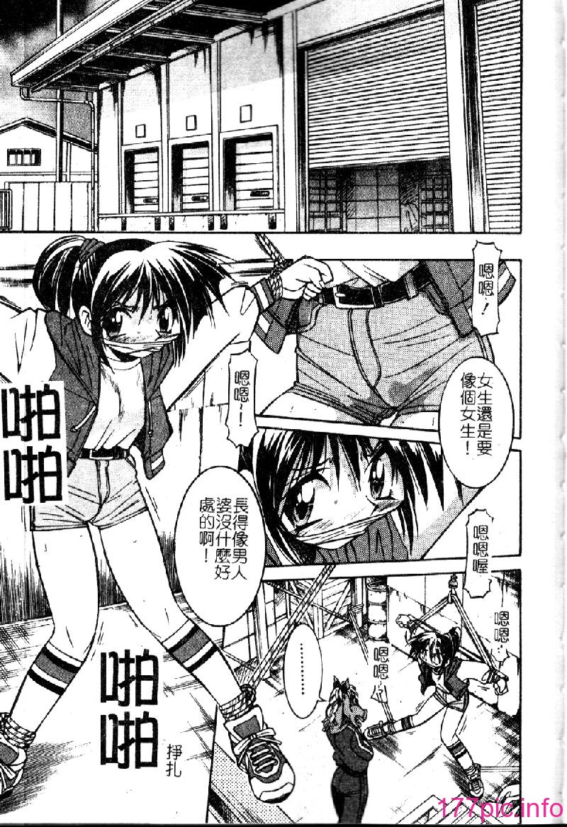 punisibari095