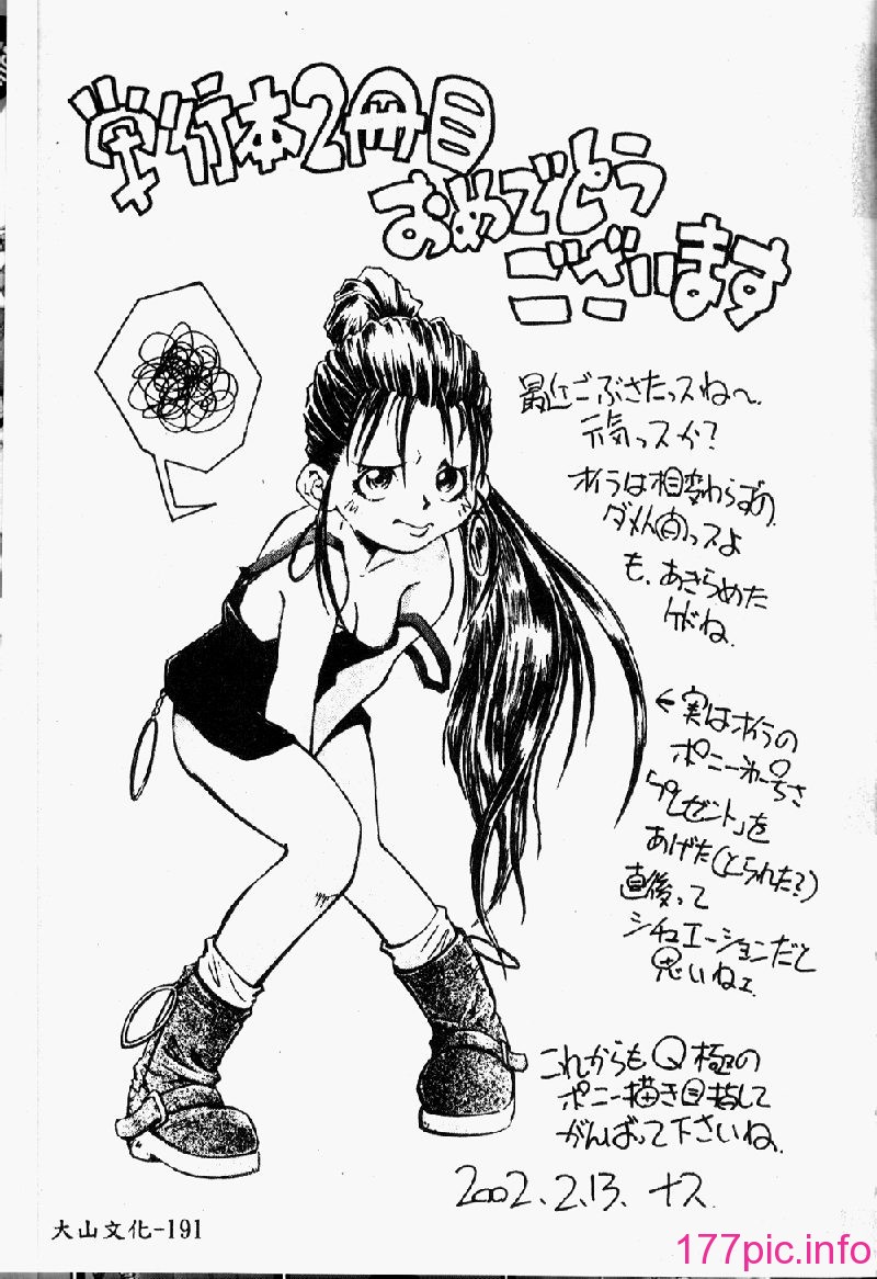 punisibari167
