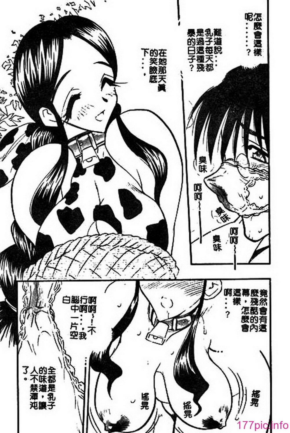 ric065