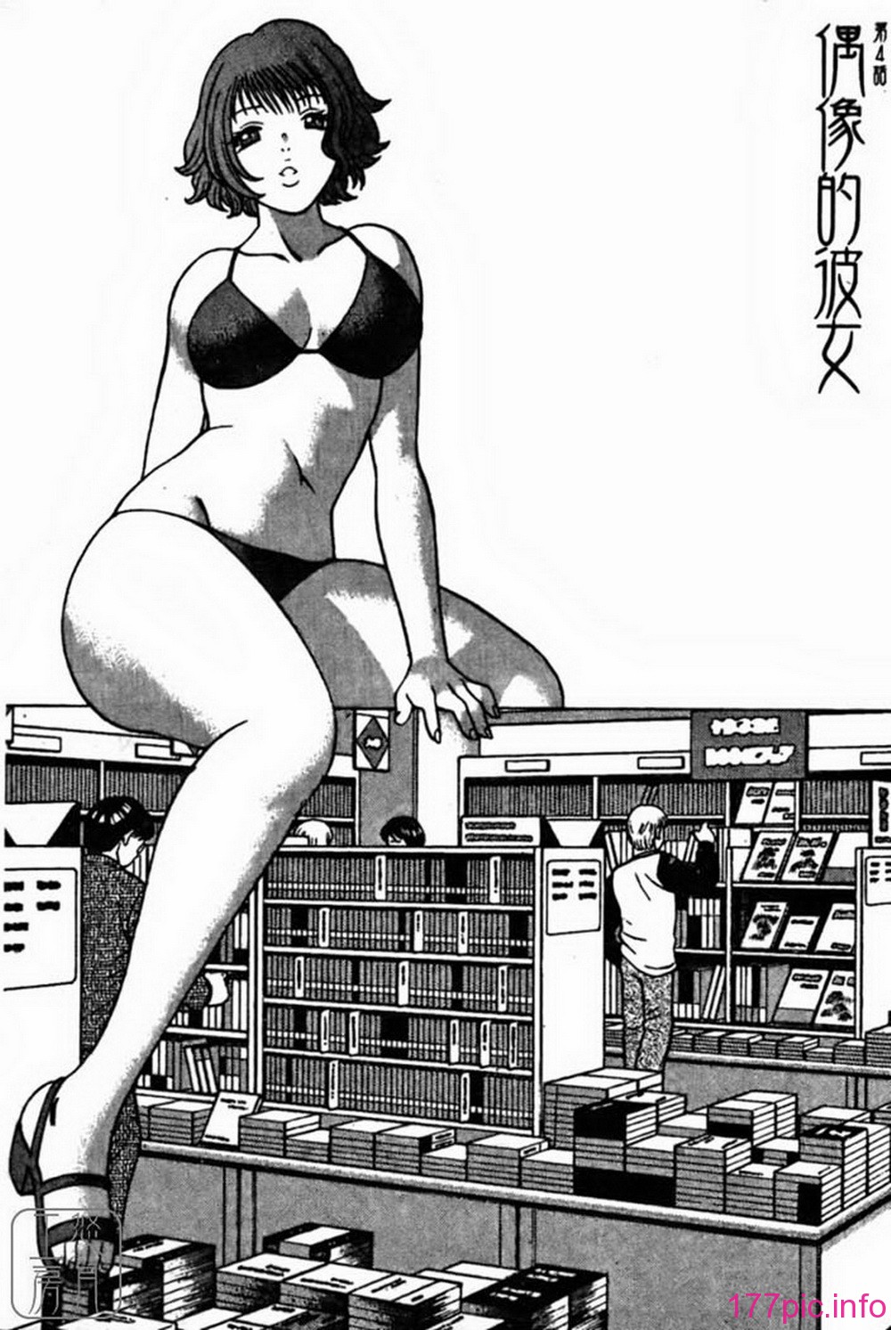 ric066