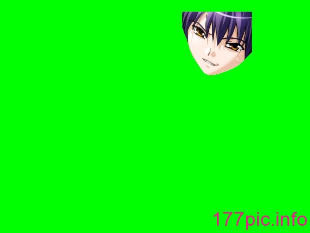 0733