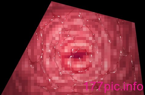 1429