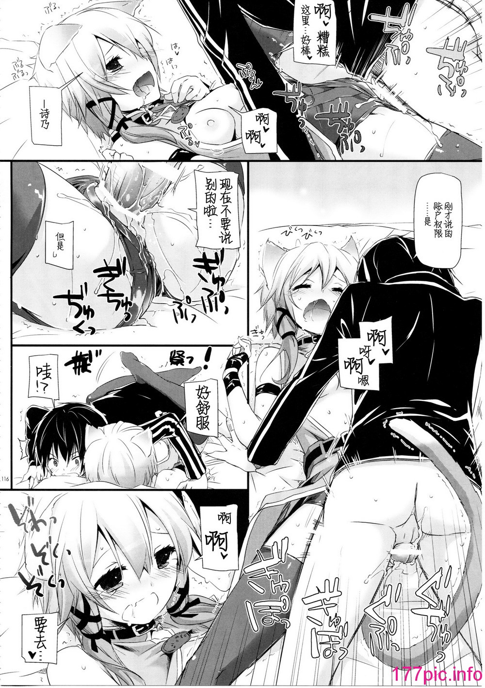 116