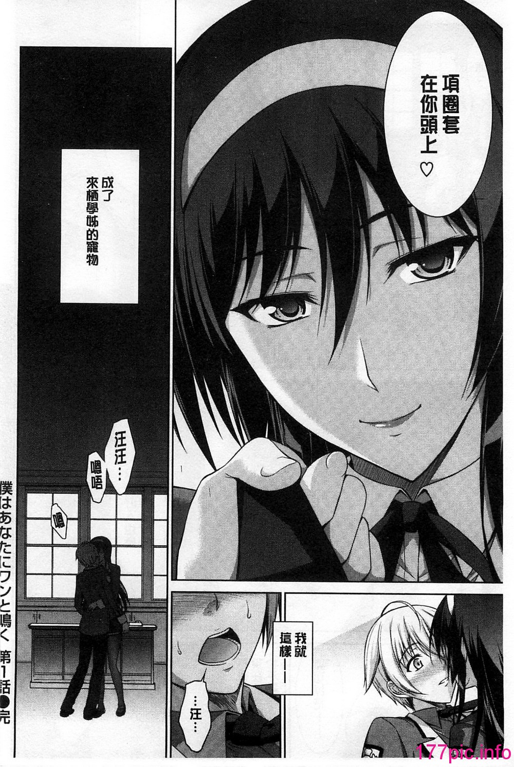 036