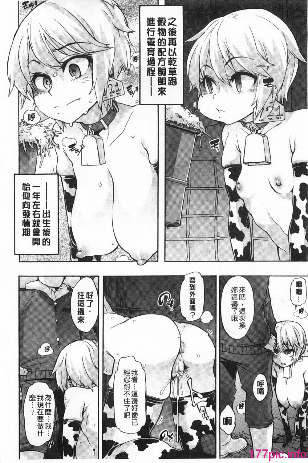 049